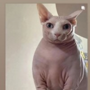 kitseks