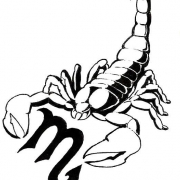 DomPetiteMort
