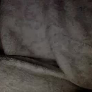 jeniperdu