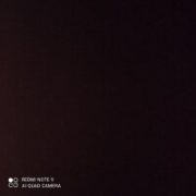 minilas55