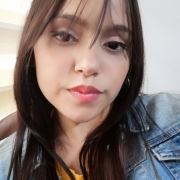 sarai_steel