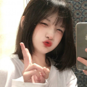 LISA-1234