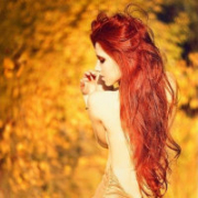 AlisFox