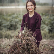 pipi_pipi2000