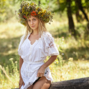 ProvenceRose