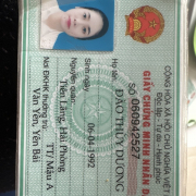 Pun_Li