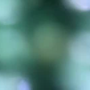 vaioleth_sex2208