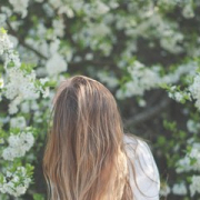 KissaDream