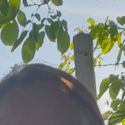 ZeiraMohamed