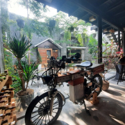 sonynghia48