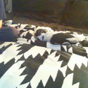 c2c_with_us_right_now