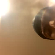 sunniandbunni