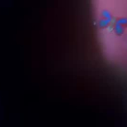sophieoconnor02