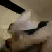 delta_darlings