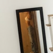 LuaArya