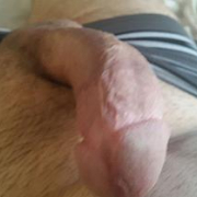 tico81