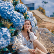 HaKimNguyen