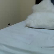sweetbom4