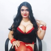Domtrans4sub