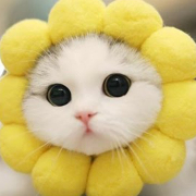 Lilhappiness_