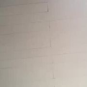 sexxxyassbitch420182