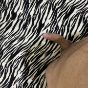 Gustavo_sch