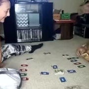 daddys_shitten_kitten
