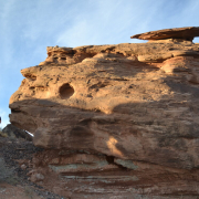 TheLittleMermaidThatCould