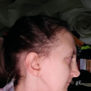 Dominoharv