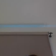 lexisuxx
