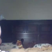 cuddlesandbubbles2