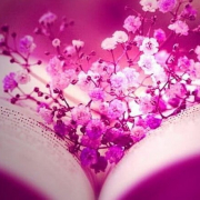 salviya_love