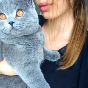 Lola_Gray