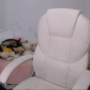 hollymays0