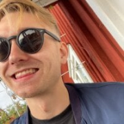 Realdavinsin