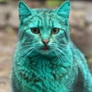 GreenKitties