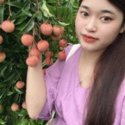 tuylip-2k-