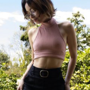 anie-torres