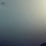 watchherstretch