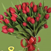 JoySouth555