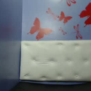 _sara_sofia_