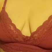 Paynted_Lady