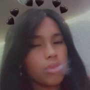 aurora_willow