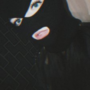 Kotik-699