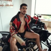 damian_bull