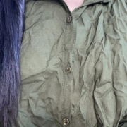 Abilasha_stripcam