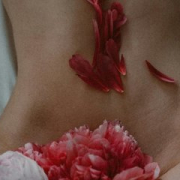 Lili147