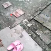 drdickalwaysloveschick