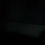 elenavicentiu