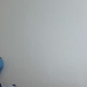 foxxhere